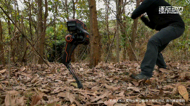640 (12).gif